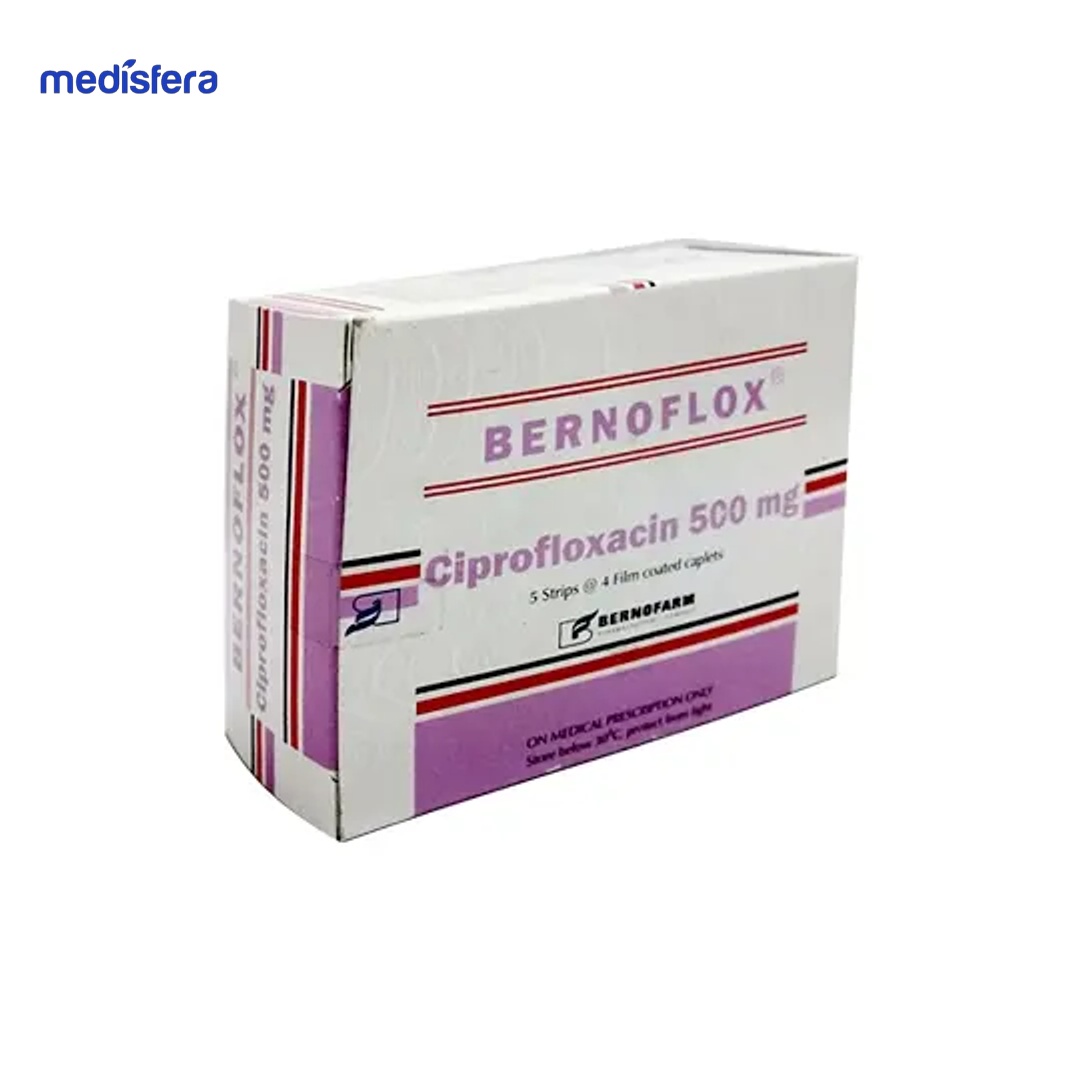BERNOFLOX 500MG tablet
